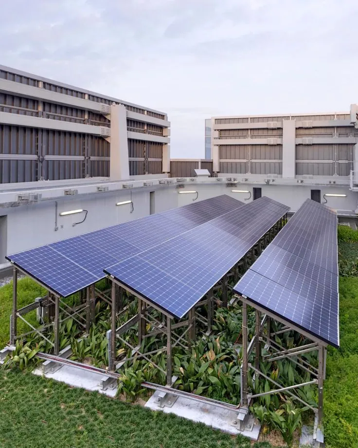Rows of solar panels on a commercial rooftop